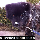 Kala Trelles. 2000-2015